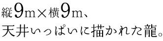 縦9m x 横9m、天井いっぱいに描かれた龍。