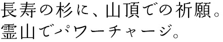 長寿の杉に、山頂での祈願。霊山でパワーチャージ。