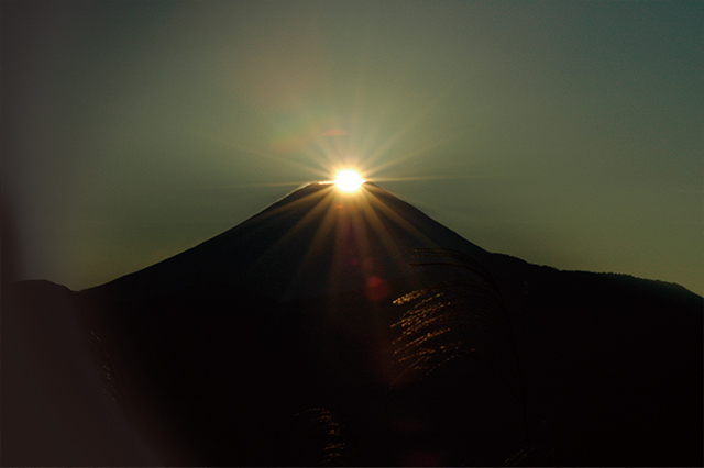 春の身延山の写真3