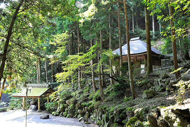 夏の身延山の写真2