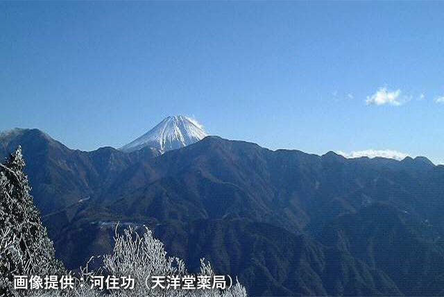 冬の身延山の写真1 画像提供：河住功（天洋堂薬局）