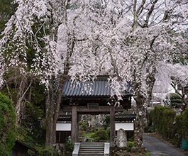 北之坊(きたのぼう)