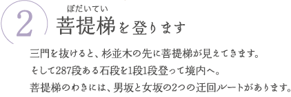 ②菩提梯（ぼだいてい）を登ります　三門を抜けると、杉並木の先に菩提梯が見えてきます。そして287段ある石段を1段1段登って境内へ。菩提梯のわきには、男坂と女坂の2つの迂回ルートがあります。