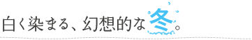 白く染まる、幻想的な冬。